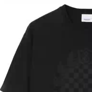 Burberry FW23 T