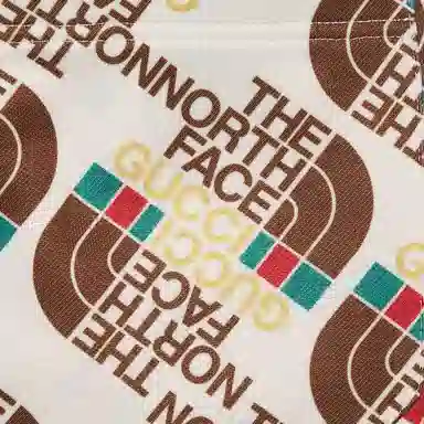 GUCCI x THE NORTH FACE SS21