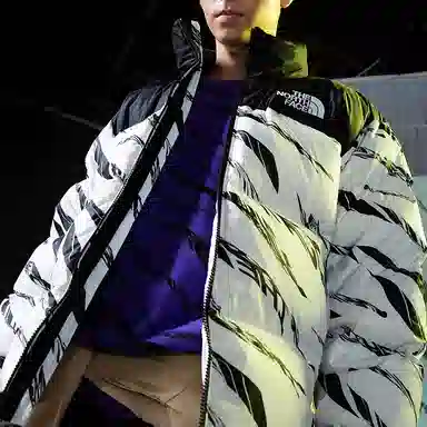 THE NORTH FACE Down Parka 700