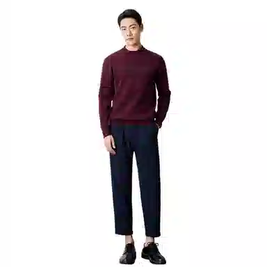 恒源祥 半高领花版纯色纯羊毛针织毛衣 男款