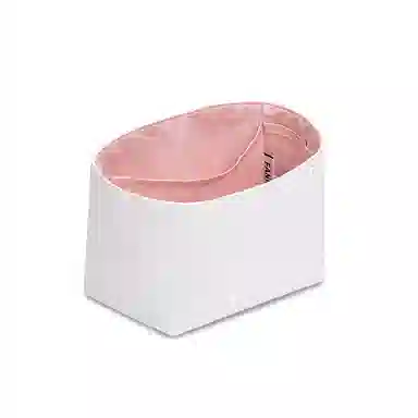FANJI Lv Backup