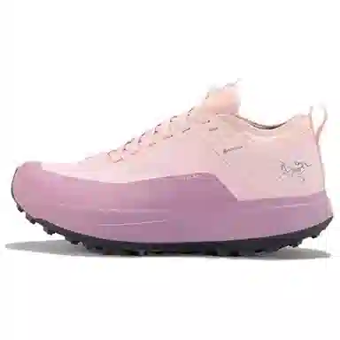 Arcteryx SYLAN GTX