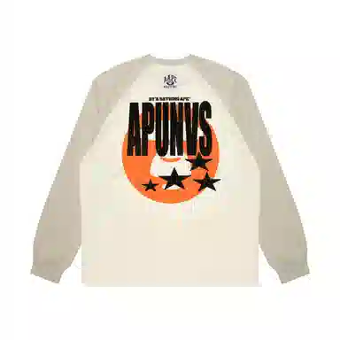 Aape T