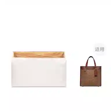 FANJI Coach Field Tote 22 30