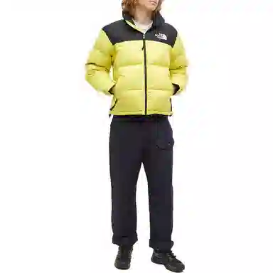 The North Face 1996 Logo Down Jacket