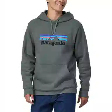 Patagonia Logo Hoodie