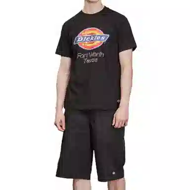 Dickies LogoT