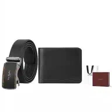 PIERRE CARDIN ( 3.5cm