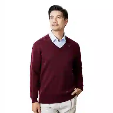 恒源祥 打底长袖加厚羊毛针织毛衣 男款