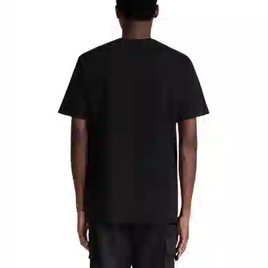 DIOR T