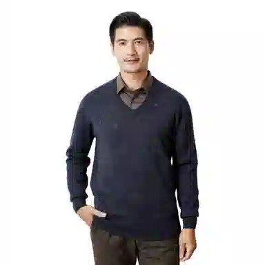 恒源祥 打底长袖加厚羊毛针织毛衣 男款