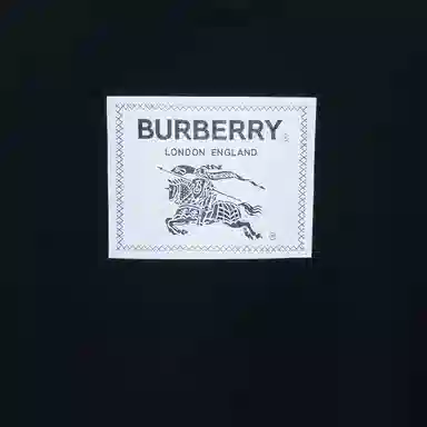 Burberry SS23 LogoT