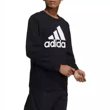 adidas M Bl Fl Swt Logo