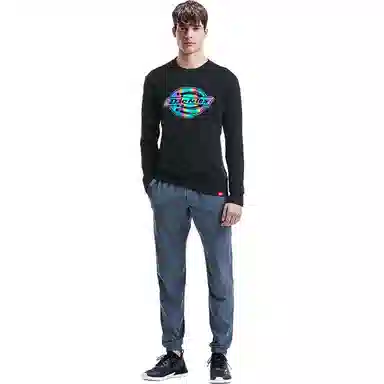 Dickies Logo