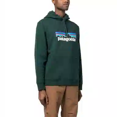 Patagonia Logo Hoodie