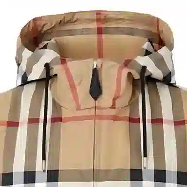 Burberry Logo Hoodie Jacket Brown