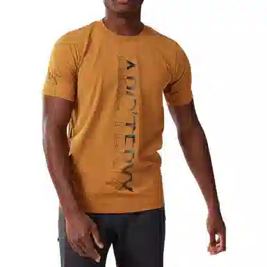 Arcteryx Captive Captive Downword T