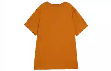 Jordan Jumpman Flight T