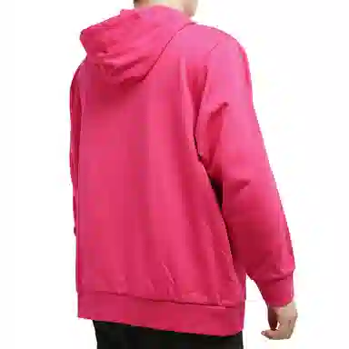 adidas originals Wntrzd Hoodle