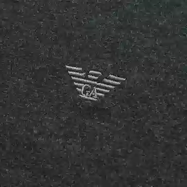 EMPORIO ARMANI Logo FW23T