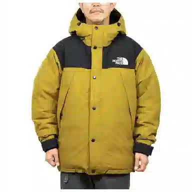 THE NORTH FACE Logo