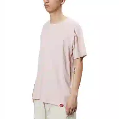 Dickies logoT