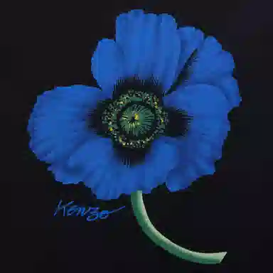 KENZO Kenzo X Nigo FW22 T