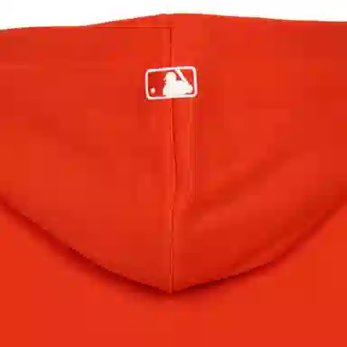 MLB RED SOXOverfit logo