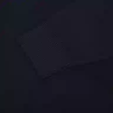 EMPORIO ARMANI logo