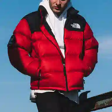 THE NORTH FACE 1992 30 Logo