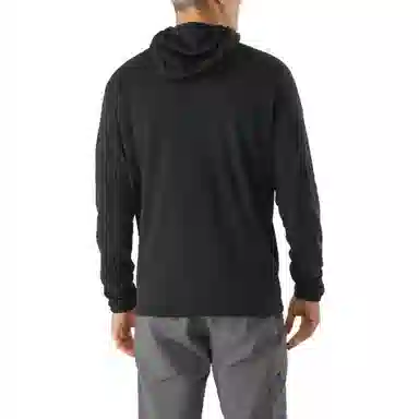 Arcteryx Logo Half-Zip Hoodie Black