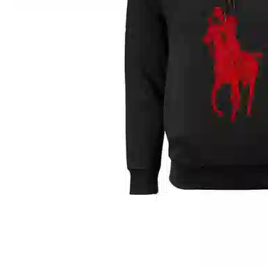 Polo Ralph Lauren Logo