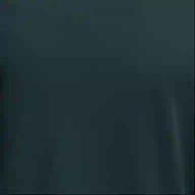 adidas GT Waffle Ls Logo