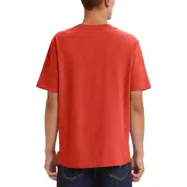 Levis T