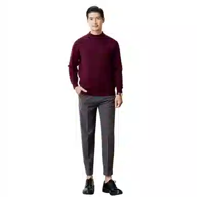 恒源祥 半高领厚款针织毛衣 男款