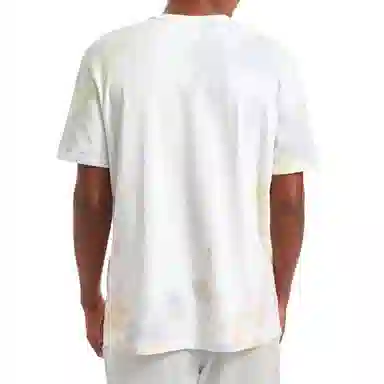 Champion T