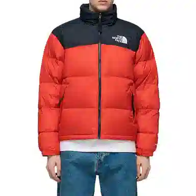 THE NORTH FACE 1996 Retro Nuptse 700
