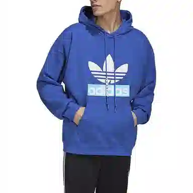 adidas originals Big Trfl Hoodie