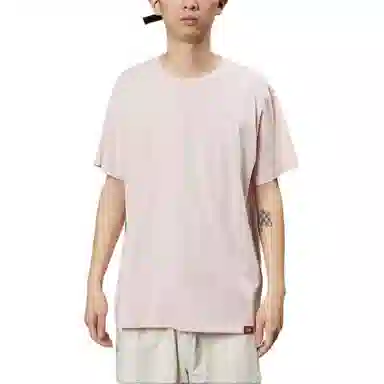 Dickies logoT