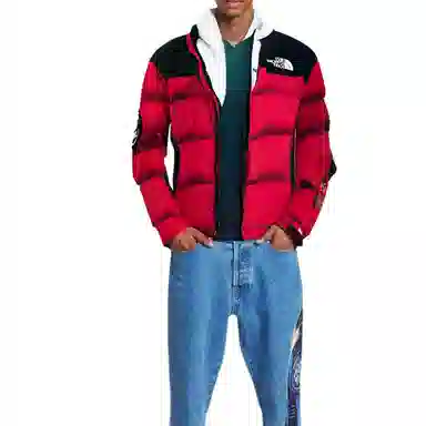 THE NORTH FACE 1992 30 Logo