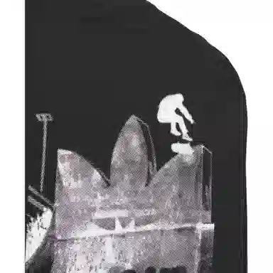 adidas originals CITY SKATE LONG SLEEVE T