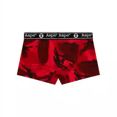 Aape 1