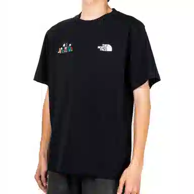 THE NORTH FACE logoT