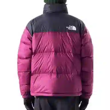 The North Face 1996 Series