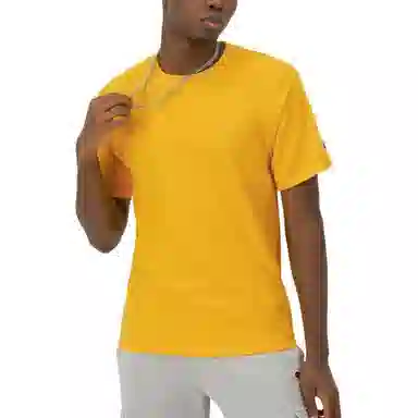 Champion T 2