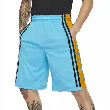 Jordan HBR Basketball Shorts Blue