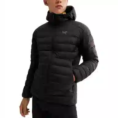 Arcteryx Cerium Hoody