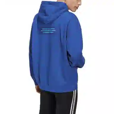 adidas originals Big Trfl Hoodie