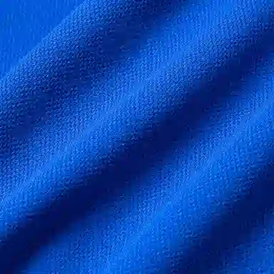 DESCENTE Logo Embroidered Shorts