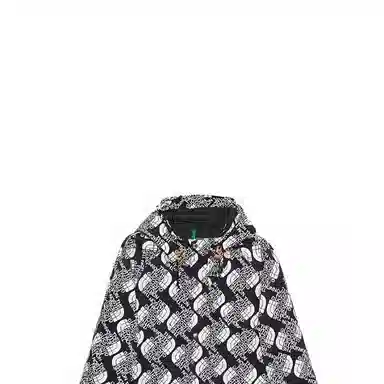 GUCCI x THE NORTH FACE Logo
